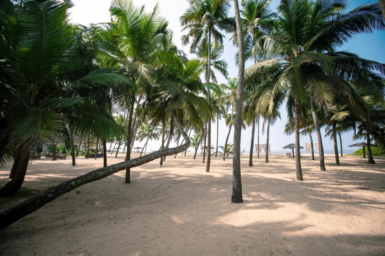 Malabar Ocean Front Resort And Spa, Bekal Nileshwar Exterior photo